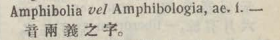 a035-51_amphibolia scanned image