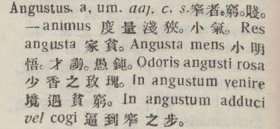 a038-56_angustus scanned image