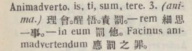 a039-19_animadverto scanned image