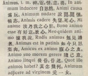 a039-33_animus scanned image