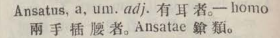 a040-49_ansatus scanned image