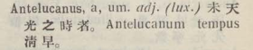 a041-36_antelucanus scanned image