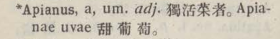 a044-17_apianus scanned image