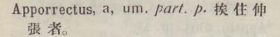 a046-11_apporrectus scanned image
