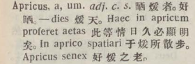 a047-05_apricus scanned image