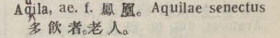 a047-51_aquila scanned image