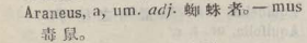 a048-31_araneus scanned image