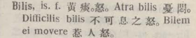 b073-33_bilis scanned image