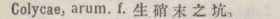 c120-17_colycae scanned image