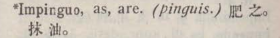 i308-28_impinguo scanned image