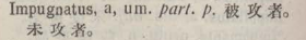i310-48_impugnatus scanned image