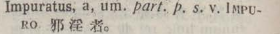 i310-62_impuratus scanned image