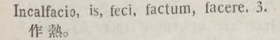 i313-09_incalfacio scanned image