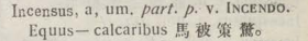 i313-38_incensus scanned image