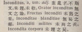 i316-31_inconditus scanned image