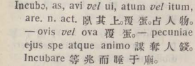 i318-03_incubo scanned image