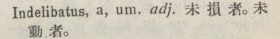 i319-45_indelibatus scanned image