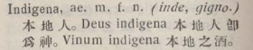 i320-31_indigena scanned image