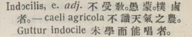 i321-36_indocilis scanned image