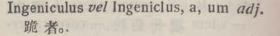 i328-39_ingeniculus scanned image