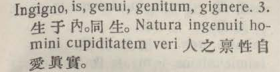 i329-08_ingigno scanned image
