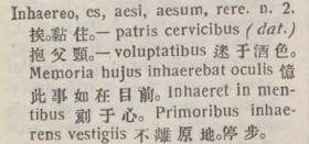 i330-05_inhaereo scanned image