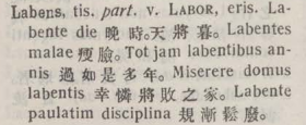 l363-13_labens scanned image