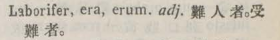 l363-25_laborifer scanned image
