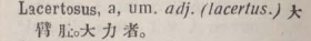 l364-23_lacertosus scanned image