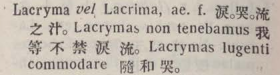 l364-43_lacryma scanned image