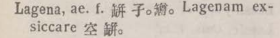 l366-05_lagena scanned image
