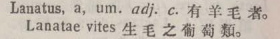 l366-48_lanatus scanned image