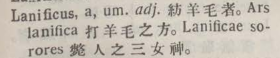 l367-18_lanificus scanned image