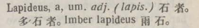 l367-42_lapideus scanned image