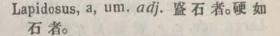 l367-45_lapidosus scanned image