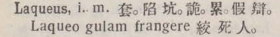 l368-05_laqueus scanned image