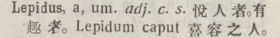 l373-29_lepidus scanned image