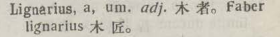 l377-35_lignarius scanned image