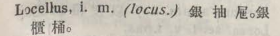 l381-18_locellus scanned image