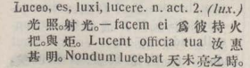 l383-16_luceo scanned image