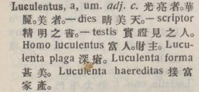 l384-10_luculentus scanned image