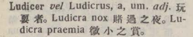 l384-19_ludicer scanned image