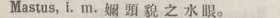 m397-14_mastus scanned image